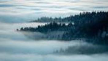 Beliebtes Urlaubsziel: Trotz Wirtschaftsflaute Tourismusrekord in Bayern