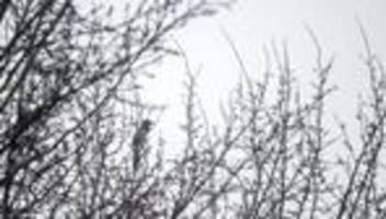 Hochnebel: Tristes Winterwetter in Bayern mit einzelnen Lichtblicken