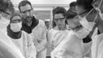 The Pitt: Die einzigen Menschen der Welt, die konzentriert arbeiten – The Pitt