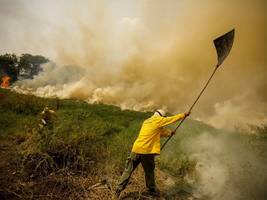 IPBES-Bericht: „Der Verlust an Biodiversität ist eine der größten Bedrohungen für Wirtschaft und Gesellschaft“