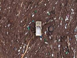 bericht appelliert an firmen: artensterben ist eine der größten bedrohungen für die wirtschaft