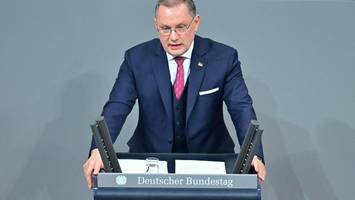 vetternwirtschaft in der afd? ein stammbaum – und „ein gewisses störgefühl“