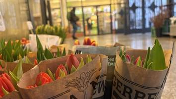 Tulpen im Winter sind wie Lebkuchen im August