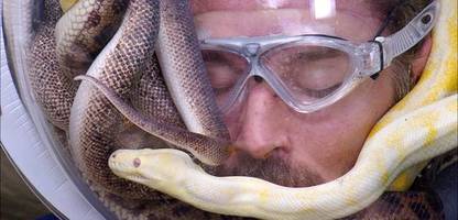 Gil Ofarim ist Dschungelkönig: Das ist nun wirklich die Krönung