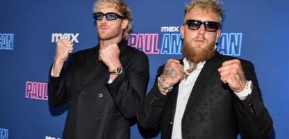 Jake und Logan Paul streiten über Bad Bunny beim Super Bowl