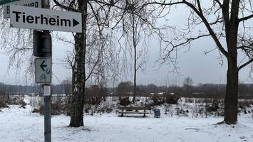 nahe hamburg entsteht ein neubaugebiet für einfamilienhäuser