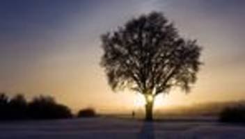 EU-Klimadienst Copernicus: Januar war weltweit fünft wärmster Monat der Geschichte