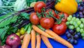 Maßnahmenkatalog: Von klein auf: Saarland setzt auf gesunde Ernährung