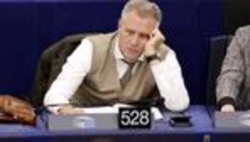 petr bystron: eu-parlament hebt immunität von afd-politiker petr bystron auf