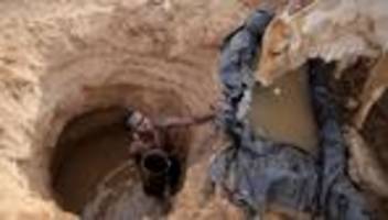 Prognose zur Klimakrise: Studie: Klimawandel könnte Weideflächen bis 2100 halbieren