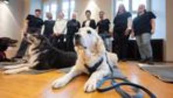 Tiere als Unterstützung: Vier Pfoten gegen die Angst: Wie Hunde vor Gericht helfen