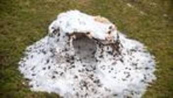 Wetter: Eis und Schnee schmelzen - In Mittelfranken droht Hochwasser