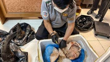 Ekelfund am Flughafen Bangkok: Polizei entdeckt Schmuggelware in Fleisch