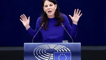 Baerbock im Europaparlament: „Internationale Ordnung wird angegriffen“