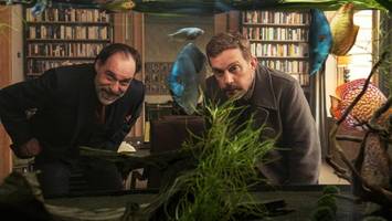 Ein Mann in den Wechseljahren: „Die Ältern“