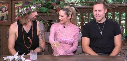 Dschungelcamp-Wiedersehen mit Gil Ofarim: Der Gipfel des Grotesken