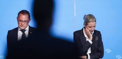 afd in der krise: zahlreiche vorwürfe erschüttern die partei