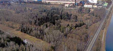 Das sagt der Verwaltungsgerichtshof über die Rodung bei den Lech-Stahlwerken