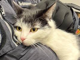 SZ-Serie „Ein Anruf bei...“: „Die Shila lässt sich gar nichts sagen“