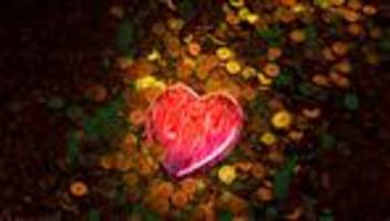 Algorithmen im Onlinedating: Glück in der App, Pech in der Liebe