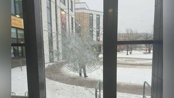 31-jähriger randaliert in hallenbad – bezirk zeigt fotos der verwüstung