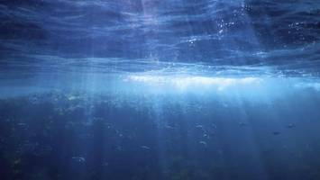 Der Grand Canyon im Nordatlantik: Meeresboden öffnet sich wie ein Reißverschluss