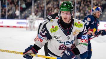 eisbären starten ohne cheftrainer, aber mit einem plan