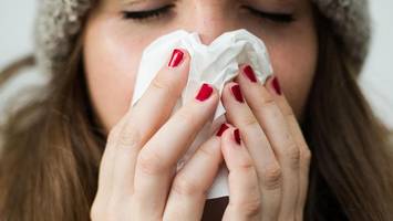 Unterschätzte Gefahr: Wie das Grippevirus den Herzmuskel attackiert