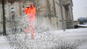 Berliner Grüne kontern Ricarda Langs Kritik – „Das Problem ist nicht der Nabu“
