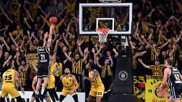 so viel hat der eurocup den hamburg towers in dieser saison eingebracht