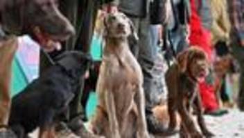 Messe Erfurt: Jagen oder reiten - Freizeitmesse im Frühling