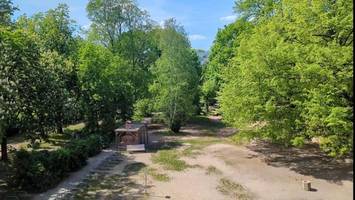 gericht fällt entscheidung: streit um bäume an heinz-brandt-schule damit beendet?