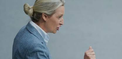 AfD - Alice Weidel und die Strategie-Frage: Die Wirtschaftswunde