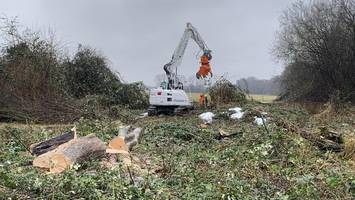 kahlschlag für oberbillwerder: hier sollen tausende sand-lkw entlangrollen
