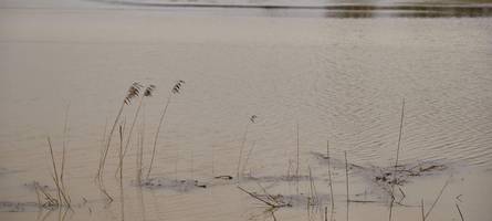 Hochwassergefahr: Wo in Bayern Überschwemmungen drohen