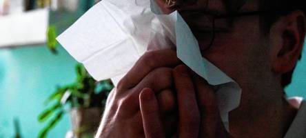 Immer mehr RSV-Fälle in Deutschland – auch Zahlen anderer Infektionskrankheiten auf hohem Niveau