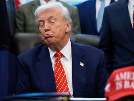 Klimapolitik: Donald Trump ist ein König des Eigentors