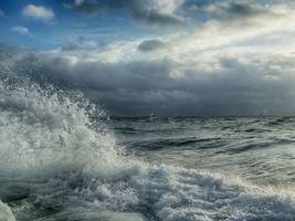 Umwelt: Warum sich Forscher über die leere Ostsee freuen