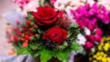 liebesbeweis: das sind die blumentrends zum valentinstag in diesem jahr