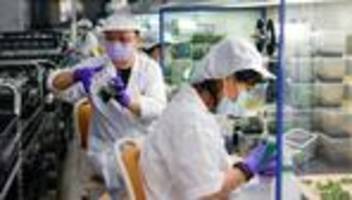 US-Zölle: USA schließen Handelsabkommen mit Taiwan