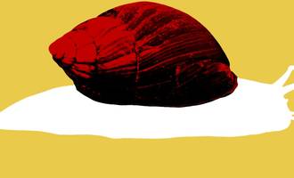 Reformstau: Die Schneckenrepublik