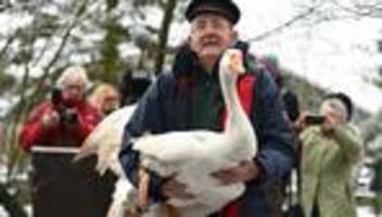 Gänsestreit in Ostfriesland: Ich kann es nicht mehr – Ludwig sagt seinen Gänsen Lebwohl
