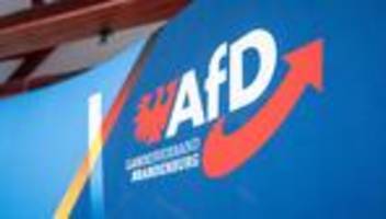 Vorwurf der Vetternwirtschaft: Brandenburgs AfD-Landeschef gegen schärfere Verhaltensregeln