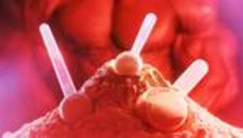 proteinpulver: süchtig nach molke