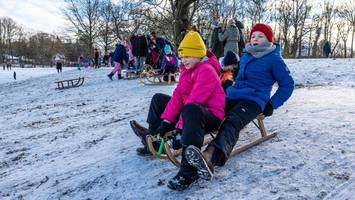 holt die schlitten raus! hier gibt es die schönsten rodelpisten in hamburg