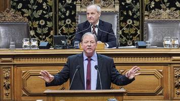 AfD Hamburg: Wie die Bürgerschaftsfraktion neue Themen besetzt