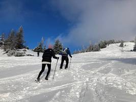 Gefahr für seltene Wildtiere: Winterlicher Freizeitdruck in Bayerns Bergen