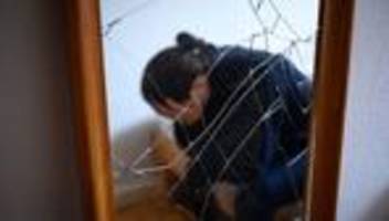 Kriminalität: Gewalt in der Beziehung - wie Täter Opfer manipulieren