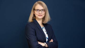 wie ein institut die welt friedlicher und sicherer machen will