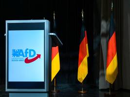 analyse: wie sehr schadet der afd die verwandtenaffäre?